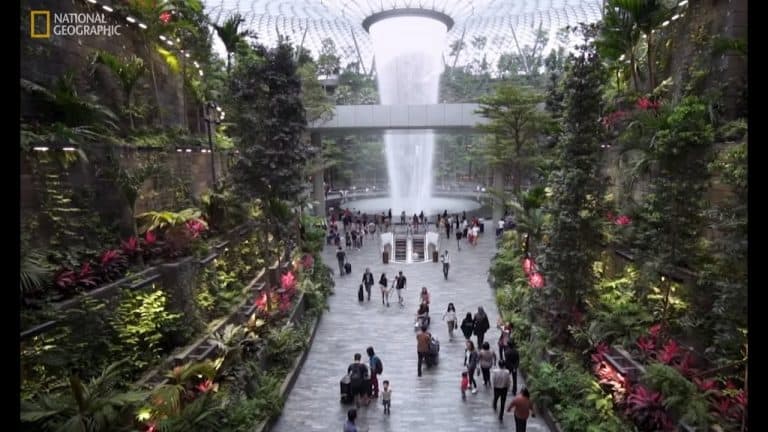 inside jewel changi airport singapore — group bus charter transfer service